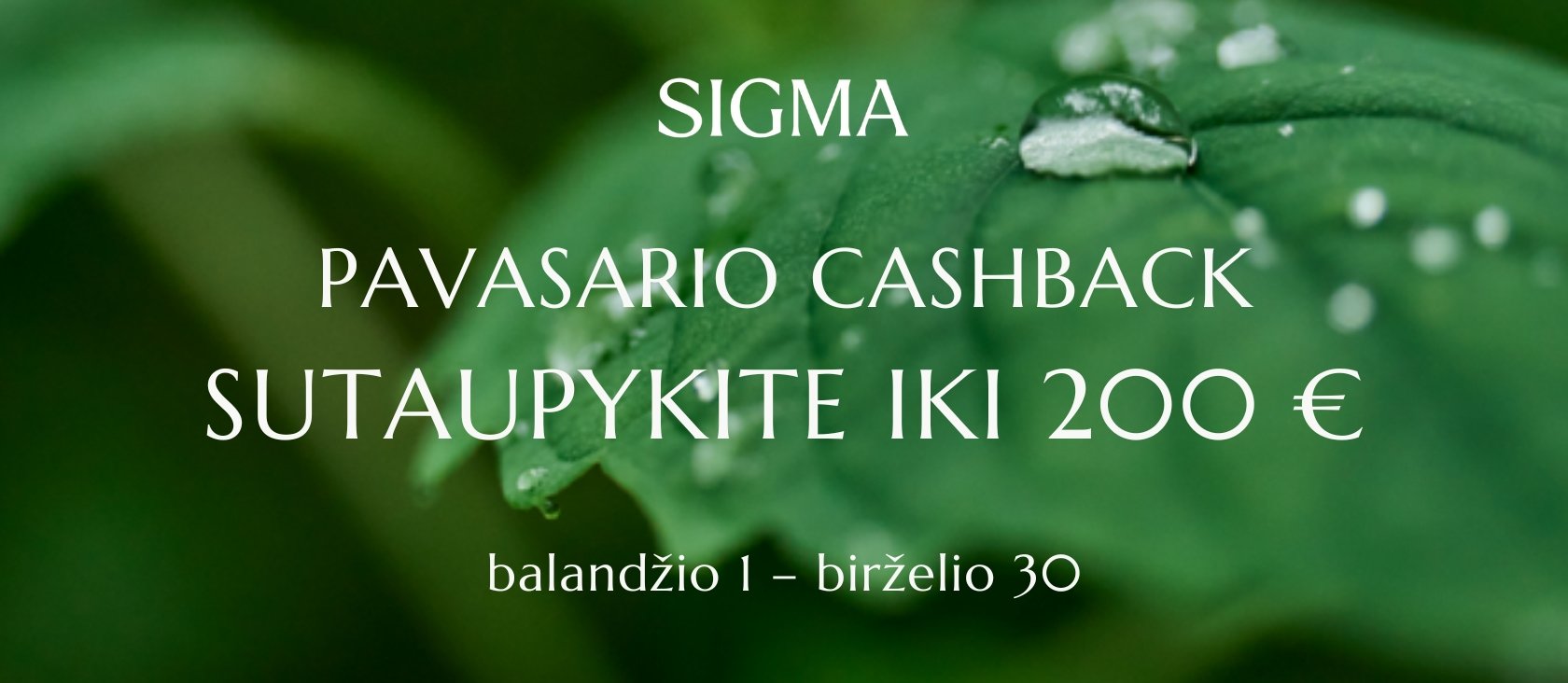 🌸💸 SIGMA pavasario cashback akcija: sutaupykite iki 200 €, pirkdami atrinktus SIGMA objektyvus! 💰