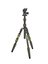 3 Legged Thing Punks Brian 2.0 Tripod Kit Black/Green with AirHed Neo 2.0