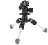 3 Legged Thing Punks Travis 2.0 with Airhed Neo 2.0 Dark