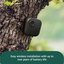 Amazon security camera Blink Outdoor 4 (Add-On), black