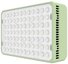 Amaran Ace 25x Green
