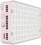 Amaran Ace 25x Pink