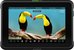 Atomos SHINOBI 7RX