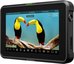 Atomos SHINOBI 7RX