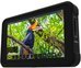 Atomos Shinobi video monitorius