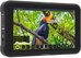 Atomos Shinobi video monitorius