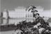 B&W Negative Film LomoChrome Berlin Kino ISO 400/135/36