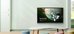Benq | RE6504 | 65 " | 450 cd/m&sup2; | Landscape | 18/7 | Android | 8 ms