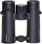 Braun Compagno 10x34 WP