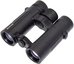Braun Compagno 10x34 WP