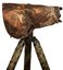 Buteo Photo Gear Rain Cover 1