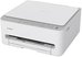 Canon IJ MFP TS4151I GY EUR