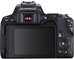 Canon EOS 250D Body
