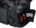 Canon EOS R6 Mark II + RF 24-105mm F4 L IS USM