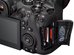 Canon EOS R6 Mark III + RF 24-105mm F4-7.1 IS STM