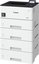 Canon i-SENSYS LBP325x