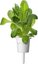 Click & Grow Plant Pod Salad Mix 9pcs