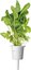 Click & Grow Plant Pod Salad Mix 9pcs