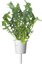 Click & Grow Plant Pod Salad Mix 9pcs