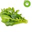 Click & Grow Plant Pod Salad Mix 9pcs