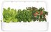 Click & Grow Smart Garden 9, white