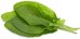 Click & Grow Smart Garden refill Green Sorrel 3pcs
