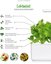 Click & Grow Smart Garden refill Lettuce 3pcs