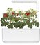 Click & Grow Smart Garden refill Mini Tomato 3pcs