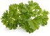 Click & Grow Smart Garden refill Parsley 3pcs