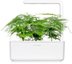 Click & Grow Smart Refill Feather spar 3pcs