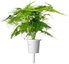 Click & Grow Smart Refill Feather spar 3pcs