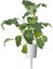 Click & Grow Smart Refill Italian Kale 3pcs