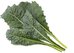 Click & Grow Smart Refill Italian Kale 3pcs