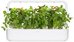 Click & Grow Smart Refill Lemon Basil 3pcs