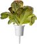 Click & Grow Smart Refill Red romaine lettuce 3pcs