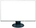Eizo FlexScan EV2456 - 24.1 - 16:10 - IPS - Juodas