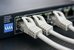 Extralink Cable CAT6 UTP (U/UTP) V2 indoor 100m