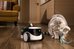 Enabot ROLA PetPal Family Robot IP Camera, White