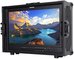 Feelworld P215-9HSD-CO (With Case)