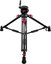 Cartoni Focus 10 Red Lock System MS