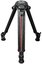 Cartoni Focus 18 SDS Carbon System