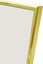 Focus Lily Gold 20x25