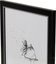 Focus Twist Black 10x15