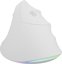 Genesis Mouse | Natec Crake 2 Pro | Wired | White