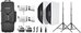 Godox Litemons LA300R RGB LED Video Light 2 light kit