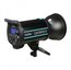 Godox QS300II Studio Flash