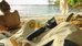 GoPro Shorty Mini Extension Pole + Tripod
