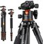 K&F Concept K&F A255C2+BH-36L Professional Carbon Fiber Tripod 15kg
