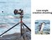 K&F Concept K&F K254A1+BH-28L 2-in-1 Quick Release Plate kits