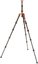 3 Legged Thing Legends Ray Tripod Bronze